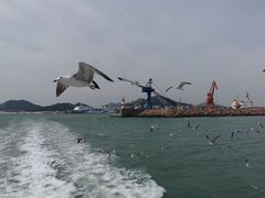 -海驴岛(荣成市)