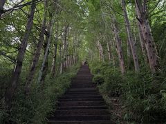 -东白山