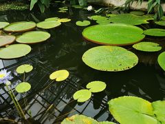 -国家植物园南园