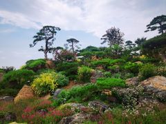 -罗红摄影艺术馆