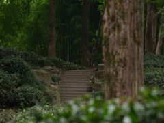 -虎丘山风景名胜区