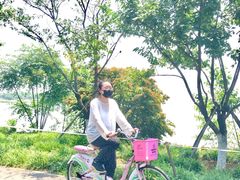 -东湖落雁景区