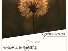 -太平洋咖啡(青岛万象城店)
