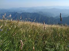 -白草畔自然风景区