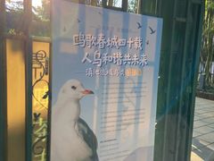 -翠湖公园
