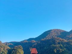 -广州市石门国家森林公园