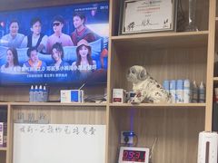 -瑞派宠物医院·24h·骨外科·皮肤科·全科宠物医疗转诊中心(沈阳浑南院)