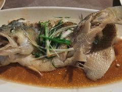 -有喜胶东小馆(太申祥和店)