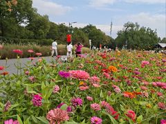 -嘉北郊野公园