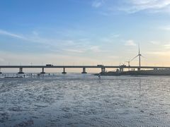 -南汇新城海滩