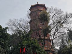 -房湖公园