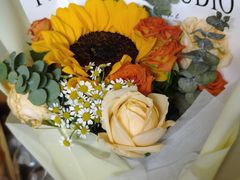 -鼓楼社区体育中心游泳馆