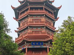 -厦门园林博览苑