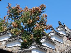 -清漾毛氏文化村