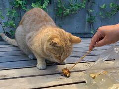 -暹罗酒肆泰餐厅酒吧