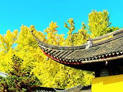 -西园戒幢律寺