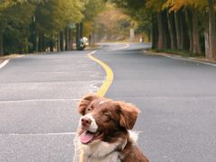 -南京市无想山景区