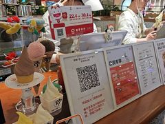 -野人先生Gelato(上海长宁龙之梦店)