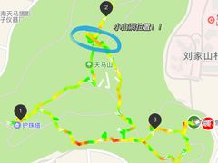 -上海佘山国家森林公园天马山园