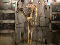 -信不信由你博物馆