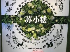 -苏小糖(鼓浪屿三丘田花园店)