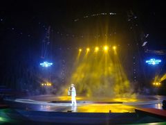 -灵玲国际马戏城