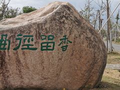 -南湖湿地公园