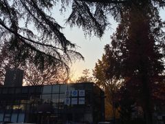 -腾爱熊猫咖啡生活馆(老东门店)