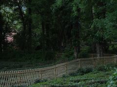 -野蔓果·山野菜(西湖景区·龙井茶田店)