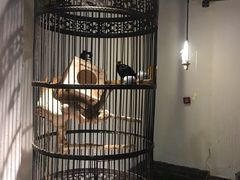 -清真·京华源铜锅涮肉(丰庆店)