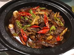 川味牛腩炒烟笋-芳满庭·江浙小馆(1912店)