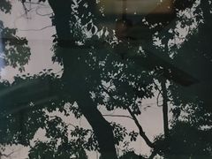 -思南书局(复兴中路店)