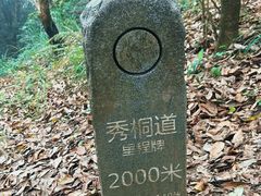 -梧桐山风景名胜区