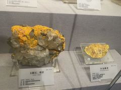 -湖南省地质博物馆