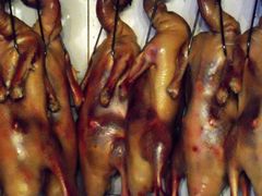 -全聚仁果木烤鸭(沙洲东路店)