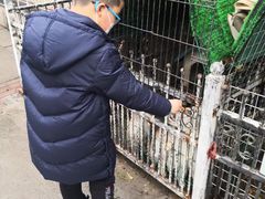 -上海佘山世茂艾美酒店