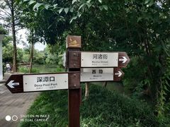 -西溪国家湿地公园