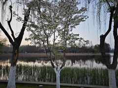 -东湖生态旅游风景区