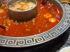 -杨肥肠火锅大排档(火车站花园店)