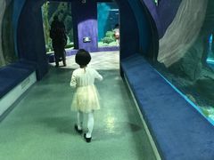 -福州罗源湾海洋世界旅游区