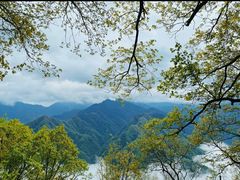 -陕西省红河谷森林公园