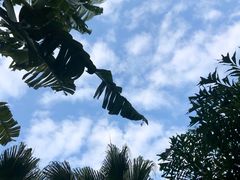 -厦门日月谷温泉渡假村