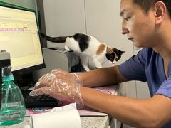 -半岛宠物医院24小时(科华中路店)