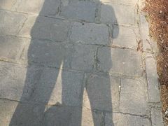 -共青国家森林公园-售票处