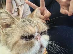-平行世界·猫咖(首经贸店)