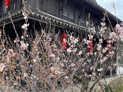 -观潮胜地公园