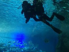 -北戴河圣蓝海洋公园