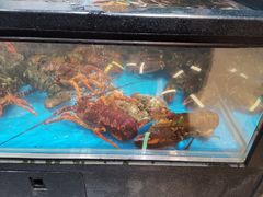 -盒马鲜生(皇庭广场店)