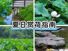 -龙头寺公园
