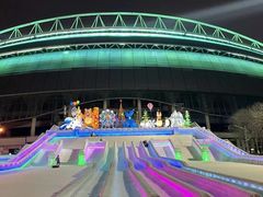 -沈阳奥体冰雪嘉年华